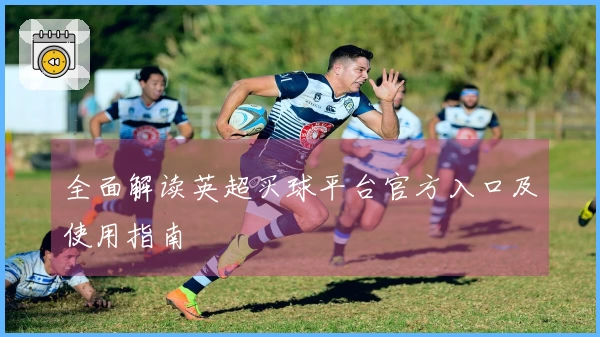 全面解读英超买球平台官方入口及使用指南