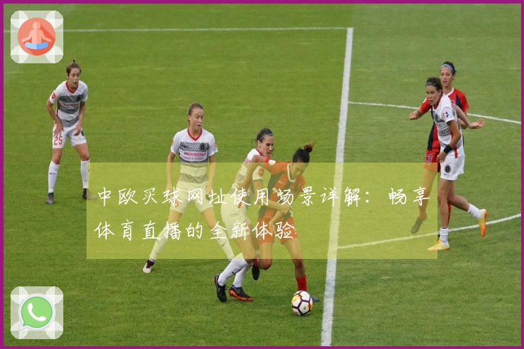 中欧买球网址使用场景详解：畅享体育直播的全新体验