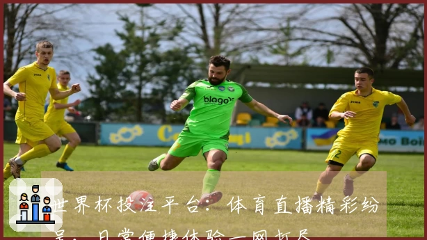 世界杯投注平台：体育直播精彩纷呈，日常便捷体验一网打尽