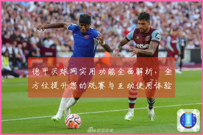 德甲买球网实用功能全面解析，全方位提升您的观赛与互动使用体验